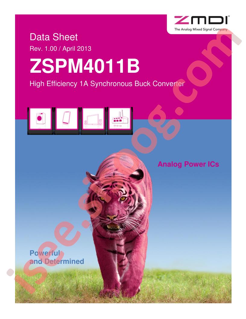 ZSPM4011B