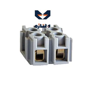 ترمینال شاخه‌ای زوجی رعد