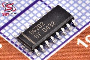 DG202DY+