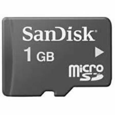 MICRO SD 1G