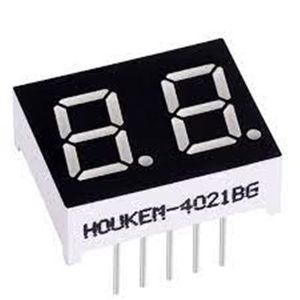 CA 7-SEG 2-DIGIT 20X16 G