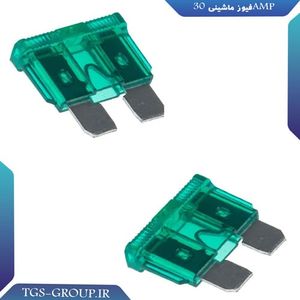 فیوز ماشینی 30AMP