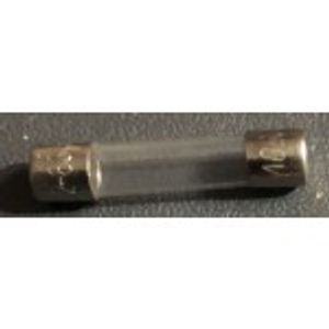 Fuse 100mAL 3AG