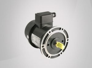 GTL5.05L407D12