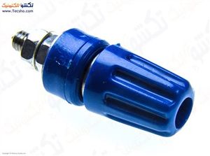 TERMINAL POWER MAKHROTI MADEGI BLUE (177)