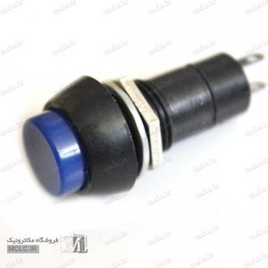 شستی پلاستیکی آبی