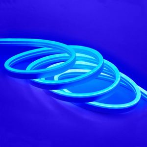 ریسه نئون فلکسی آبی [BLUE] 12V - یک متری مارک SUN