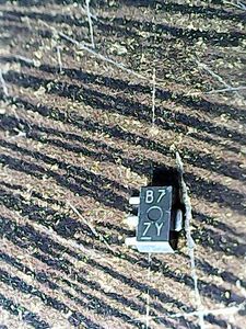 b7-7y