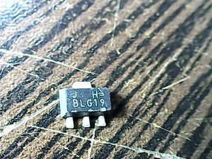 blg19