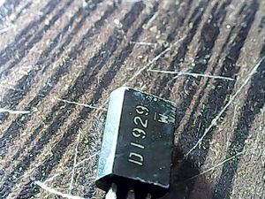 d1929