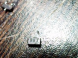 bv3