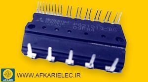 PS21353-BG