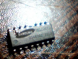 selc2010