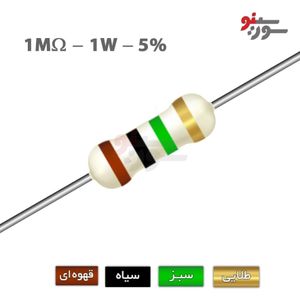 مقاومت 1 مگا اهم 1 وات (1M-1W-5%)