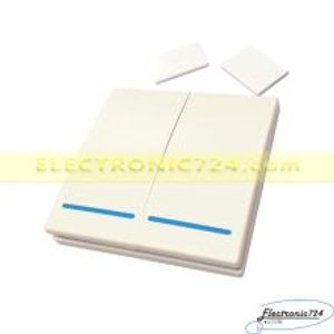 کلید دیواری دو پل سفید Wall Switch 433MHz