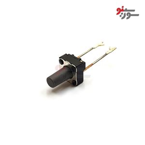 تک سوئیچ 2 پایه 9.5*6*6