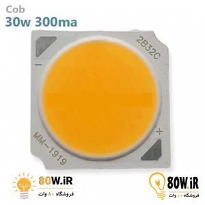 Cob 30w 300ma 1919 افتابی