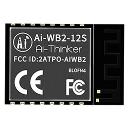 Ai-Thinker WiFi BLE Module Ai-WB2-12S(BLOFN4) 4MB | 00