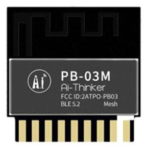 Ai-Thinker BLE Module PB-03M 256KB | 00