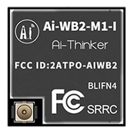 Ai-Thinker WiFi BLE Module Ai-WB2-M1-I(BLIFN4) 4MB | 00