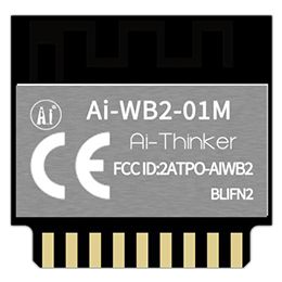 Ai-Thinker WiFi BLE Module Ai-WB2-01M(BLIFN2) 2MB | 00