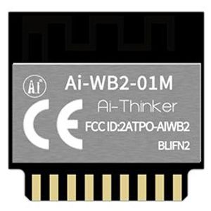 Ai-Thinker WiFi BLE Module Ai-WB2-01M(BLIFN2) 2MB | 00