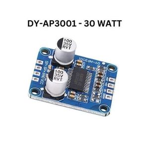 ماژول آمپلی فایر DY-AP3001 مونو با توان 30 وات