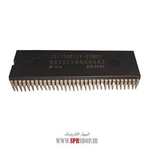 IC 8873CS ANG