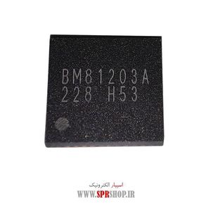 IC BM 81203A