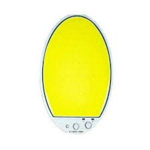 COB-50W W 12Vبیضی