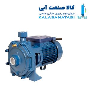 پمپ دو اسب دو پروانه برند دیزل ساز مدل DB 210/01