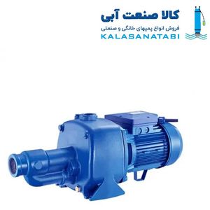 پمپ دو پروانه لول بلندخود مکش دیزل ساز  مدل DAB300