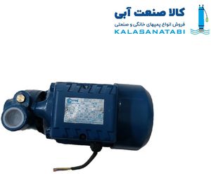 پمپ محیطی  پنتاکس ایرانی مدل PM 80 IR  با توان یک اسب بخار
