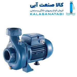 پمپ دو اسب دو اینچ برند دیزل ساز مدل DS200/2