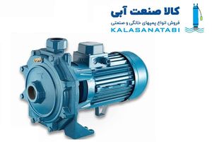 پمپ سه اسب دو پروانه مدل DB 310/01 دیزل ساز