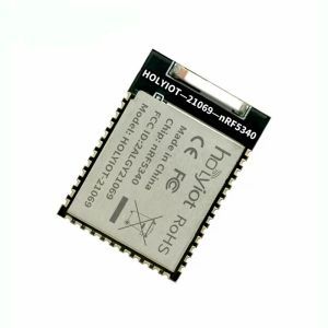 ماژول میکروکنترلر nRF5340 برند hoLyiot