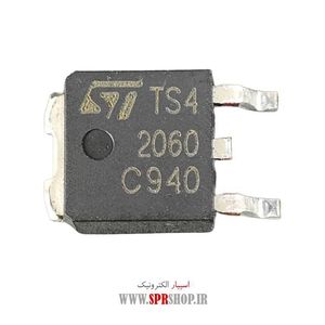 IC TS 42060