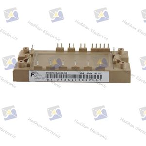 IGBT 6MBR30SA060-50