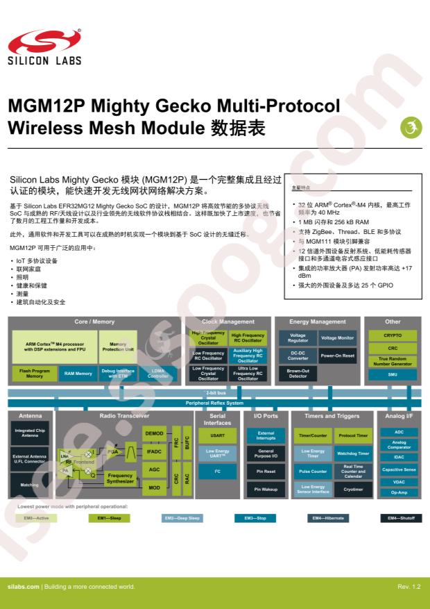 MGM12P22F1024GA-V2
