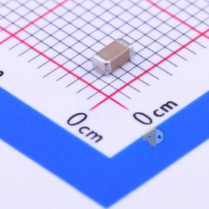 FV31X102K202ECG
