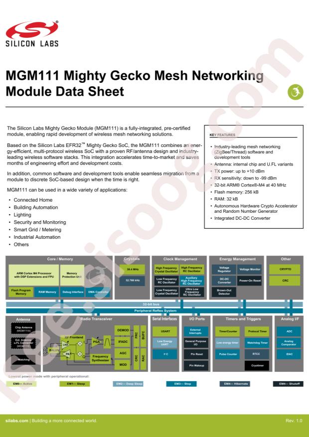MGM111E256V2