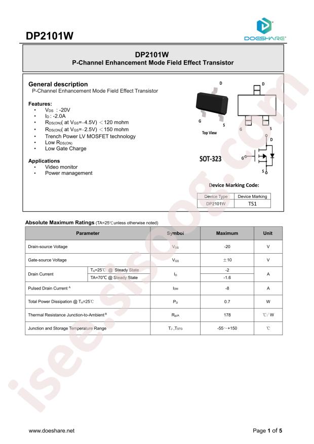 DP2101W