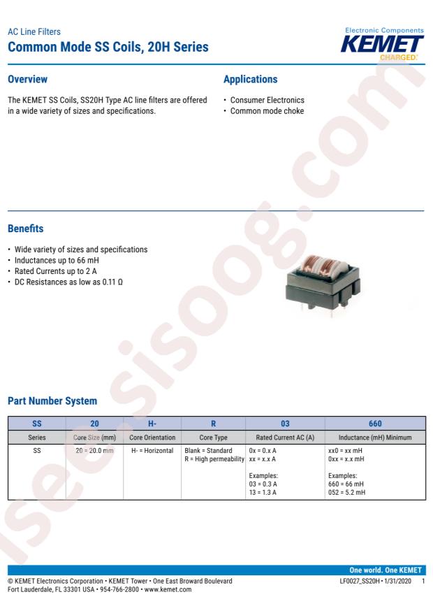 SS20H-R10100