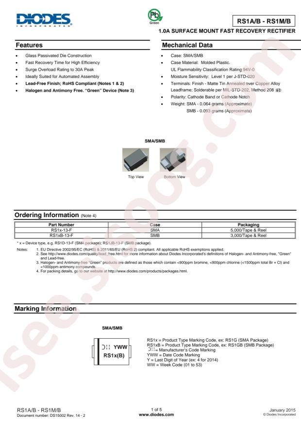 RS1DB-13-F