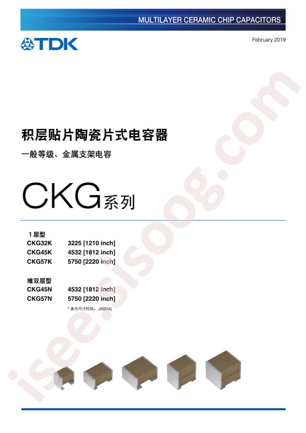 CKG57NX7S2A226MT009W