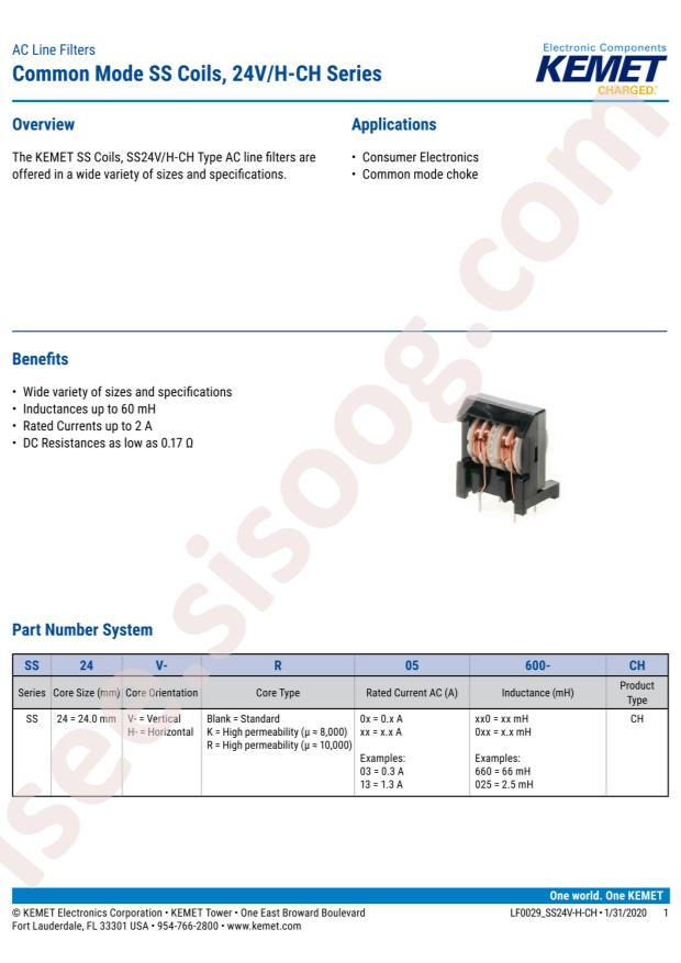 SS24H-R10170-CH