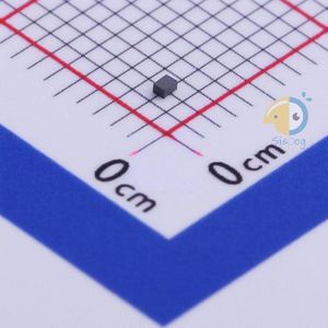 SMMF0806-G1202P