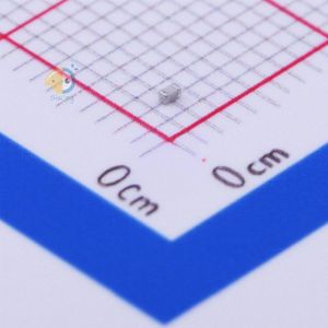 C1005NP0390GGTS