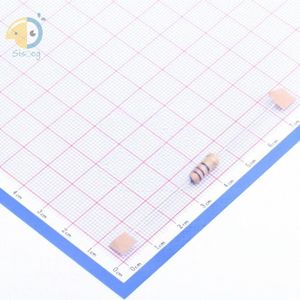 CF2WS-10Ω±5% T