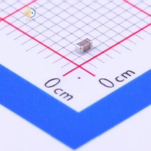 Samsung Electro-Mechanics CL10C010CB8NNNC